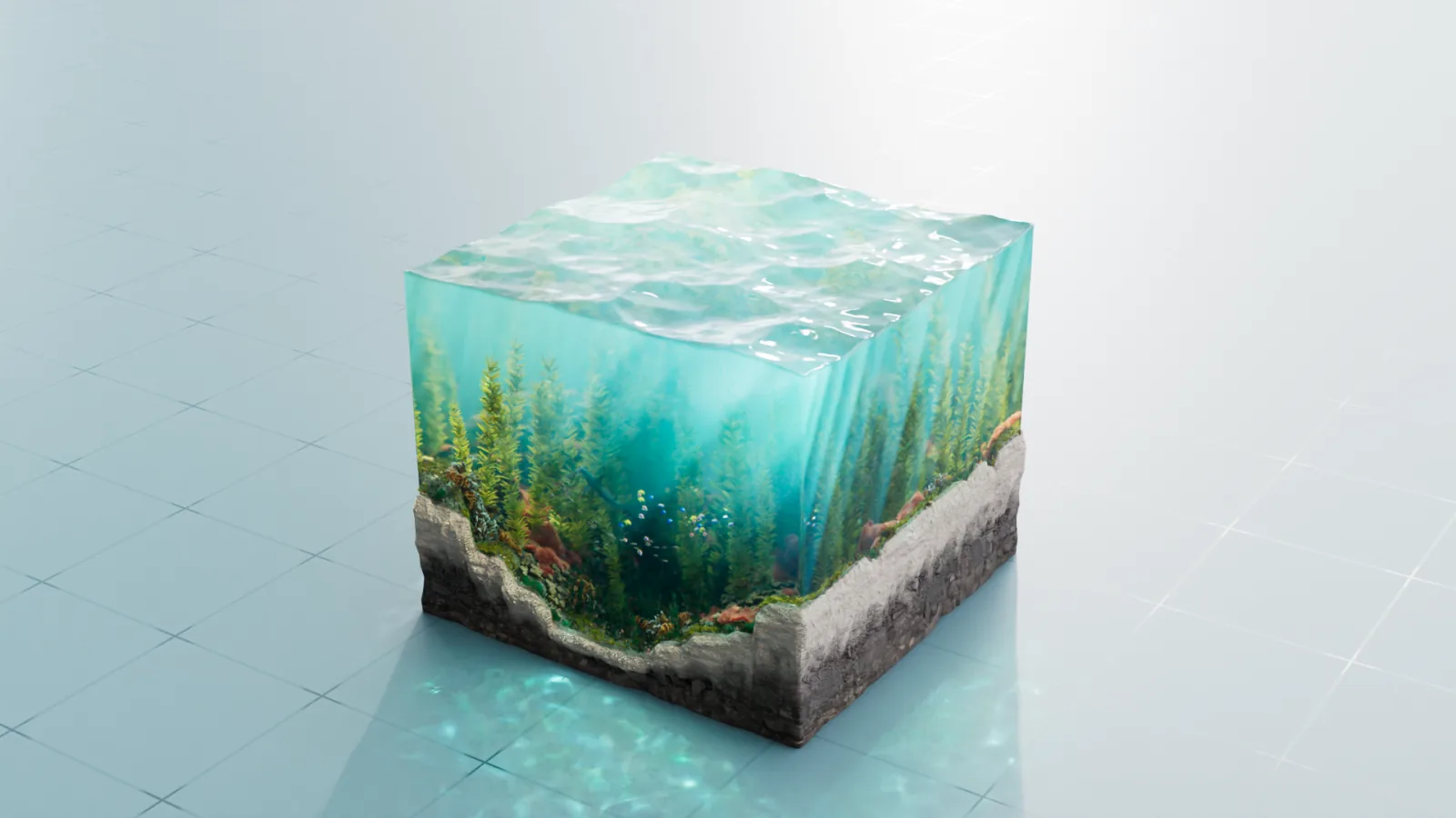 A cube-shaped slice of ocean showing kelp, fish and the seabed