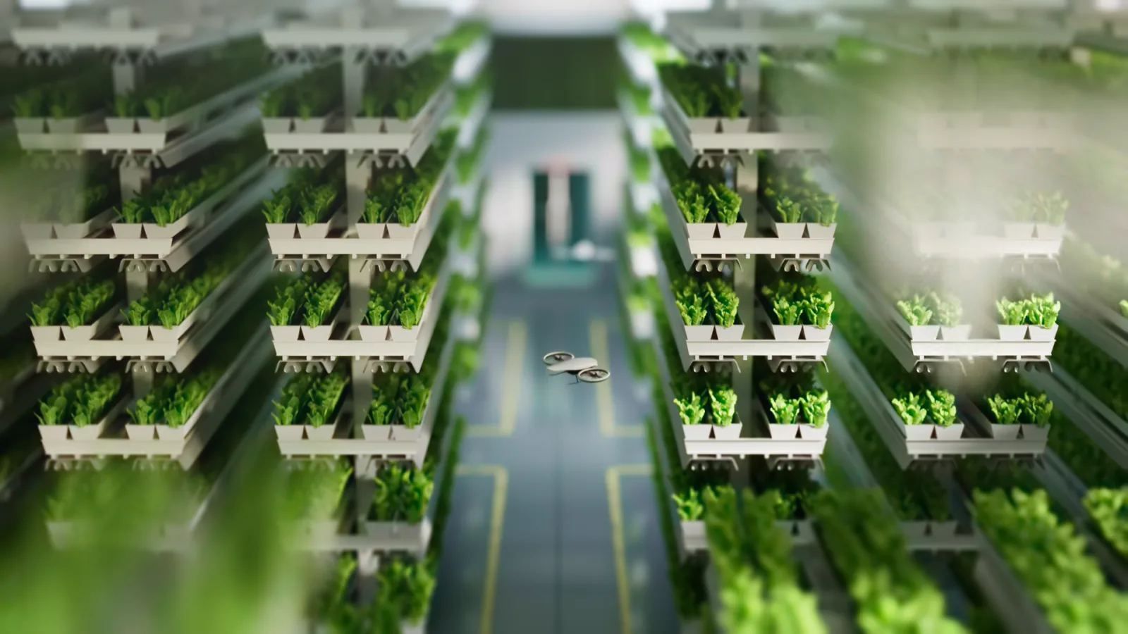 Inside a vertical farm, with a drone flying between tall racks of plants